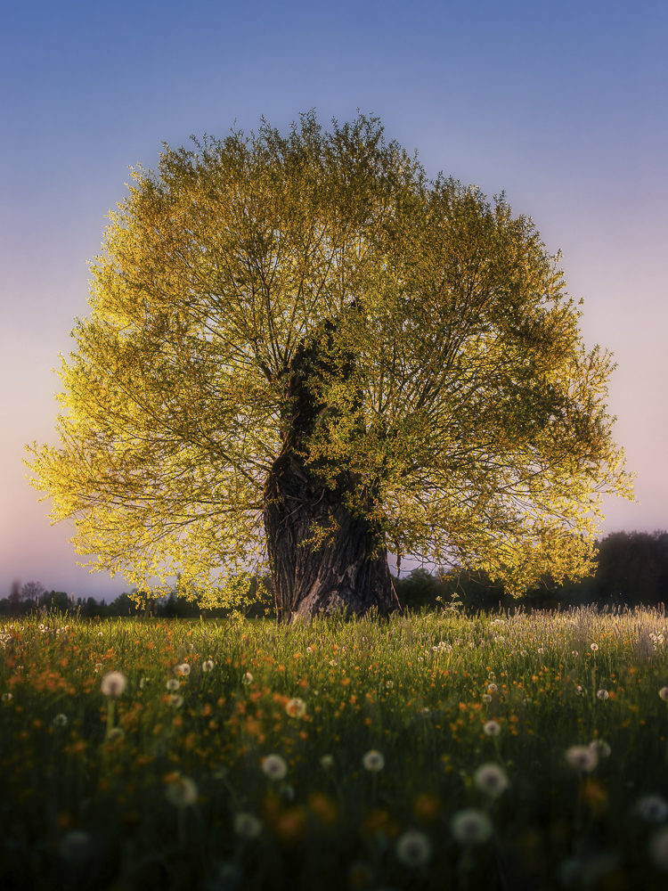 Platz 2 Christoph Lindau
